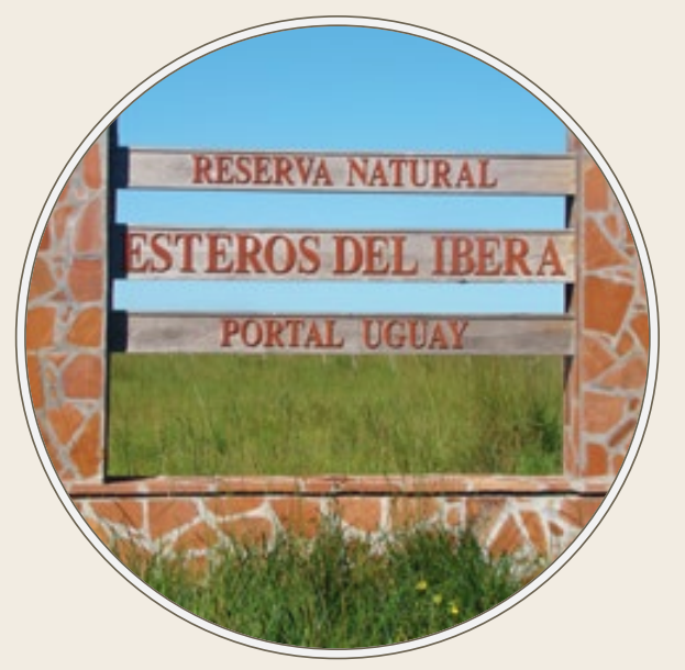 Vista panorámica de los Esteros del Iberá
